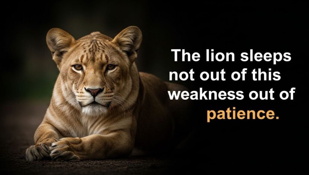 The Lion Quotes