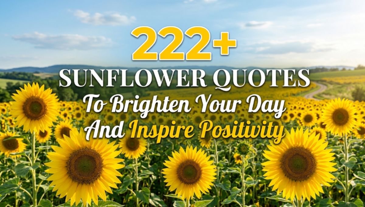 222+ Sunflower Quotes To Brighten Your Day And Inspire Positivity