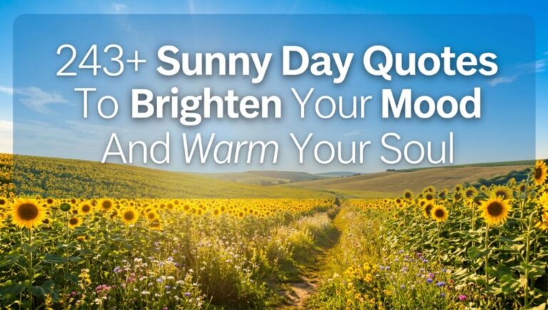 243+ Sunny Day Quotes To Brighten Your Mood And Warm Your Soul